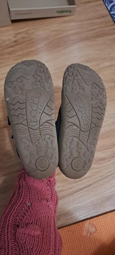 Froddo tex c. 31, froddo,31