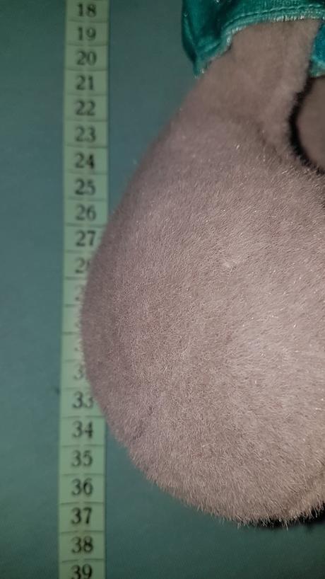 Väčší diddl sivý, 