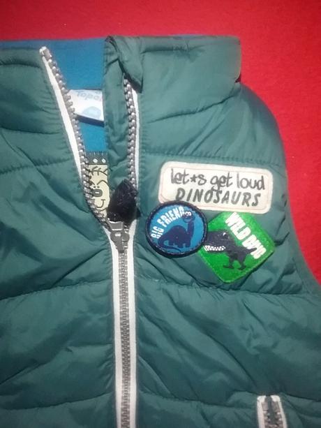 Prechodna vesta, topolino,86