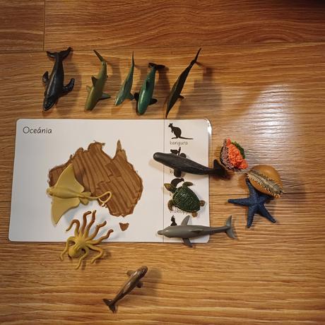 Zvieratá kontinentov, 