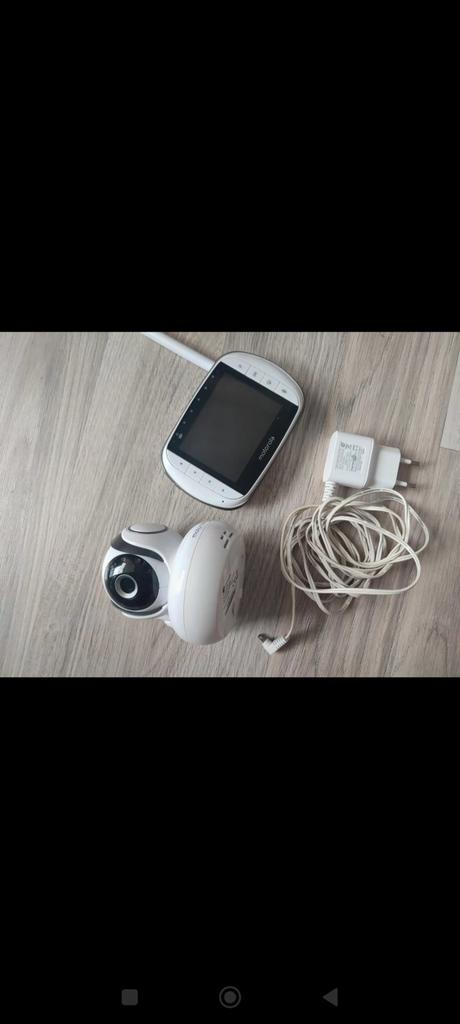 Detská pestunka, motorola