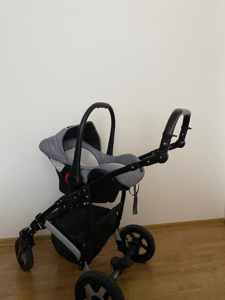 Kočík camarelo, camarelo,camarelo valencia