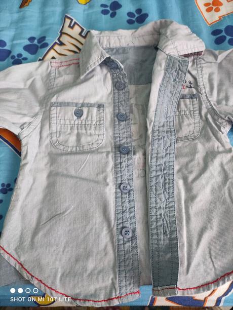 Štýlová košeľa, st. bernard,80