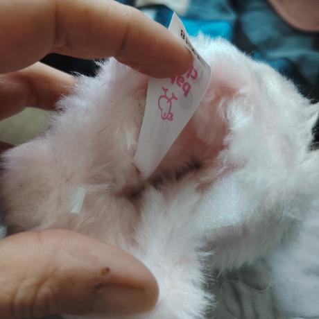 Teplucke capacky 17/18, baby club,17