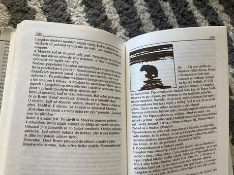 Kráľ sivých medveďov (1991), 