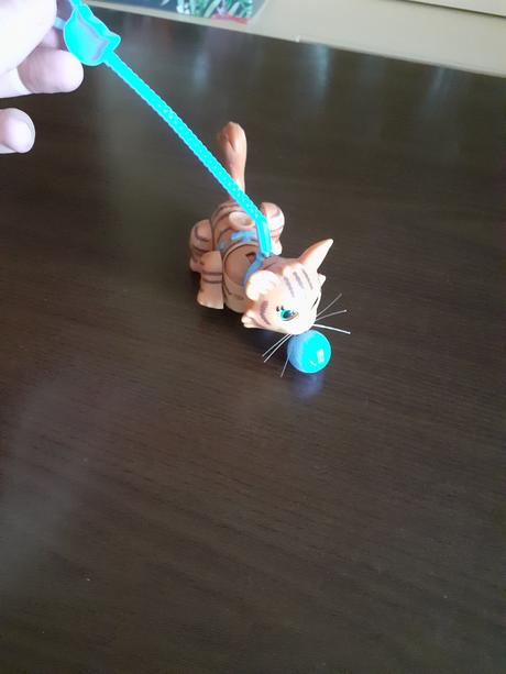 Mačiatko na kolieskach,