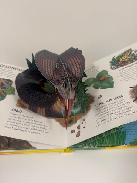 Pop up 3d kniha exreme animals,