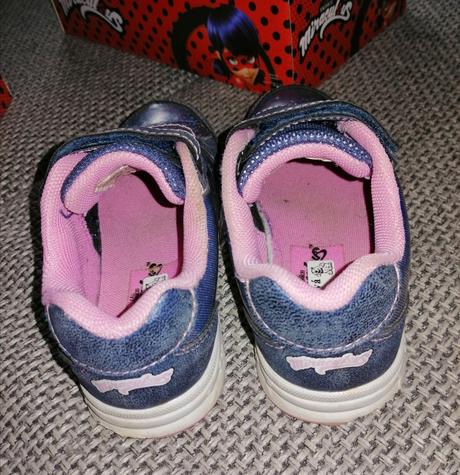 Botasky miraculus, deichmann,27