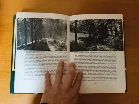 Martin kriak - prírodný park v betliari, 