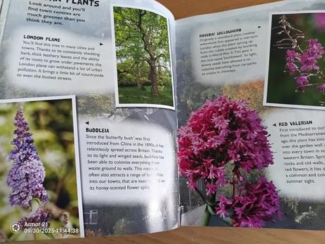 Mike dilger wild town. paperback, 7,