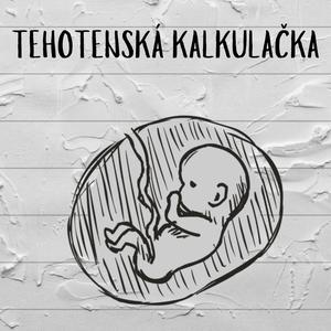 Pozri ako funguje tehotenská kalkulačka