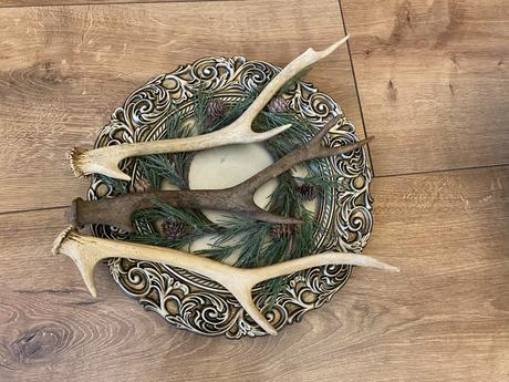 Parôžky - parožie, 