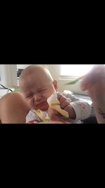 Prvé prikrmy mu vôbec nechutia.