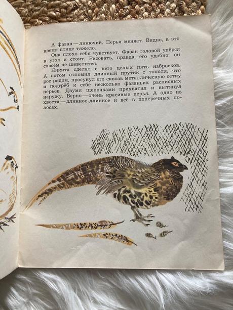 Sovietska detská kniha цапля volavka (1976),