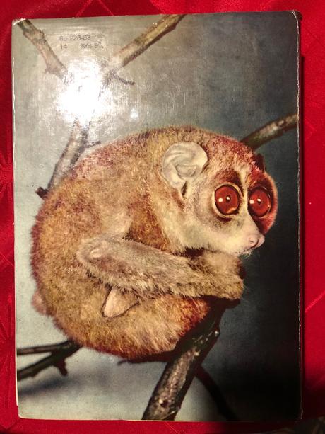 Veľký atlas zvierat,