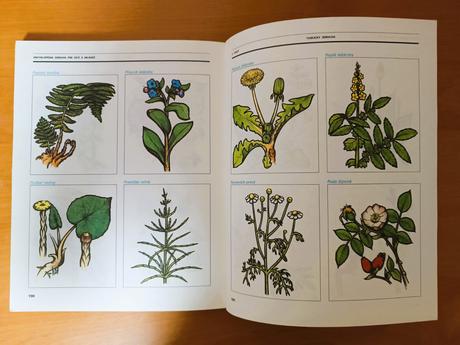 Encyklopédia zdravia pre deti a mládež (1983), 