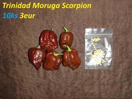 Semená čili/chilli papričiek,