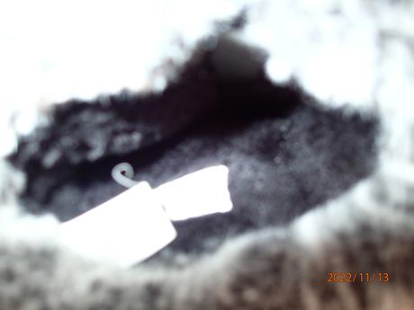 Zimne čižmičky daichman, graceland,31