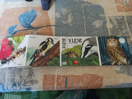 -leporelo, v lese, citana, 