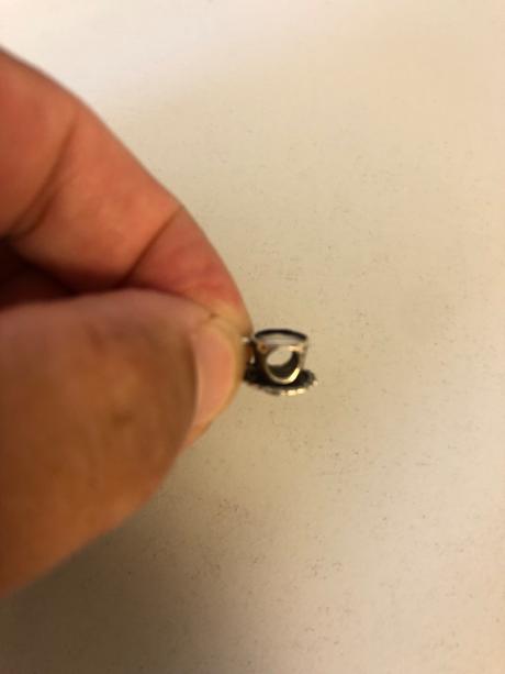 Pandora goralka, pandora