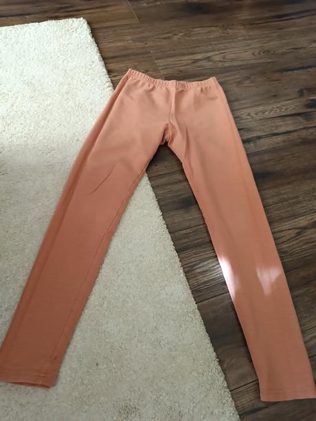 Leginy, coccodrillo,152