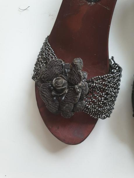 Drevaciky melida, deichmann,39