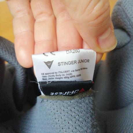 Lyžiarska prilba, s