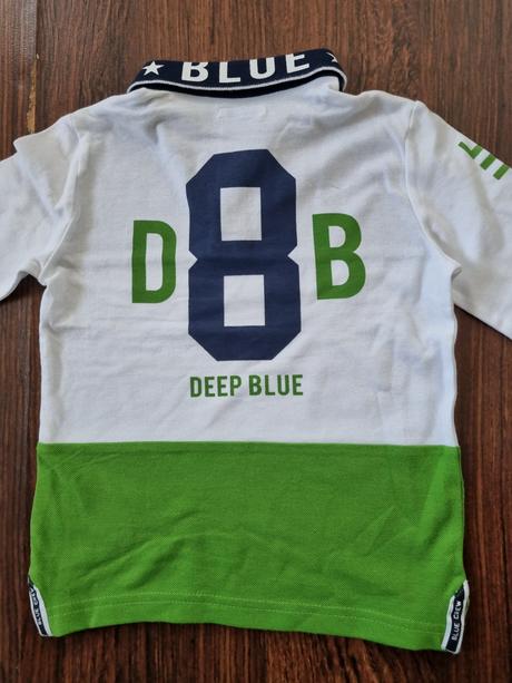 Polokosela mayoral, mayoral,104