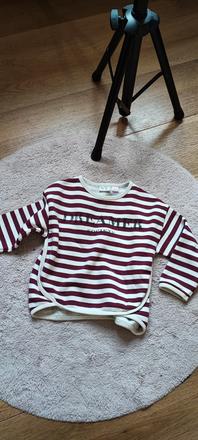 Zara hrubšia mikina, zara,98