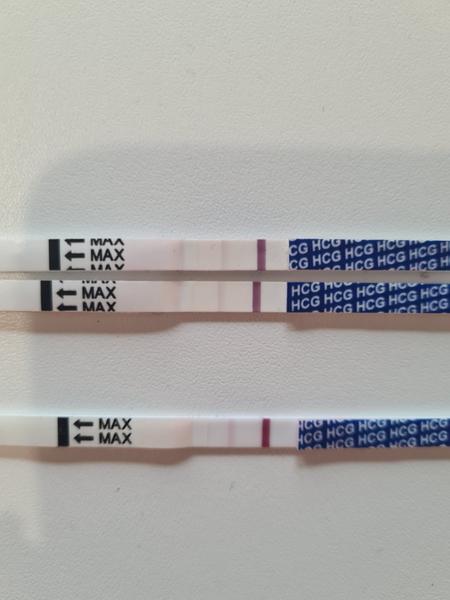 Prečo nesilnie test?