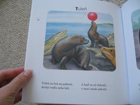 Kamaráti zvieratká,