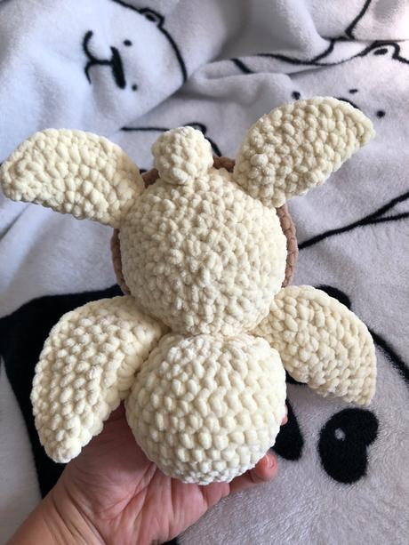 Hackovana korytnacka, 