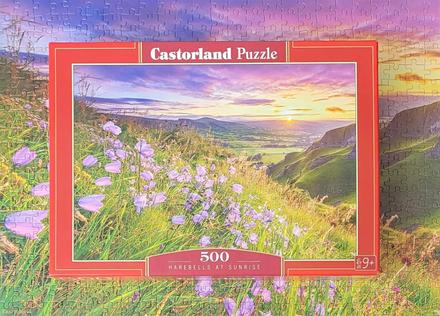 Puzzle 500, 