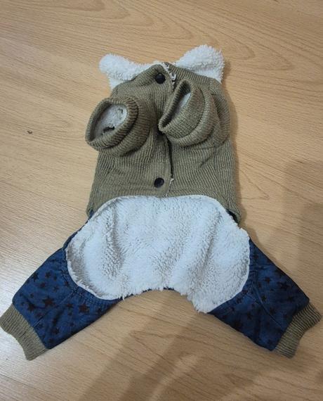 Oblečenie pre psika, 