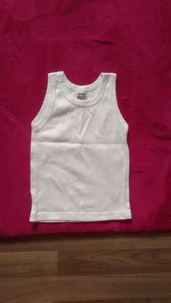 Tielko ako nove, scamp,104