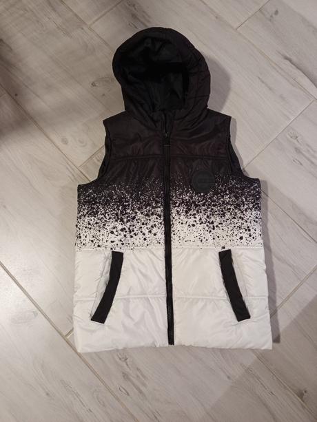 Vesta, chapter young,146