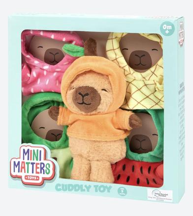 Capibara s oblečením,