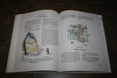 Veľká, farebná kniha, 