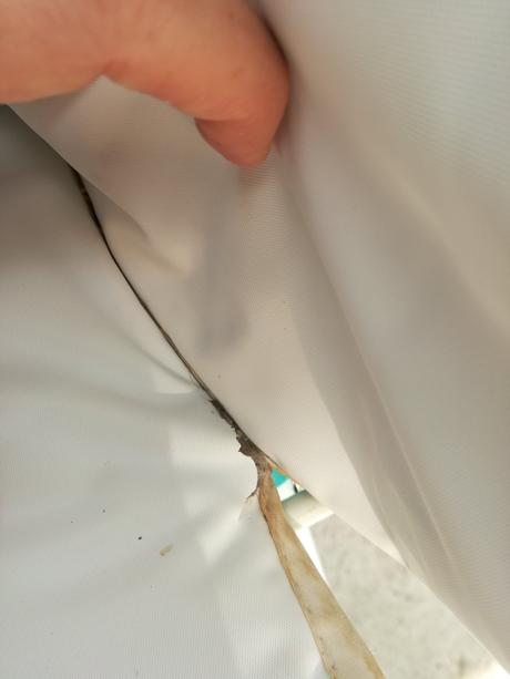 Pingvinova stolicka,