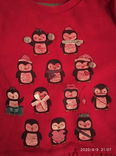 Tucniakova mikina, 98