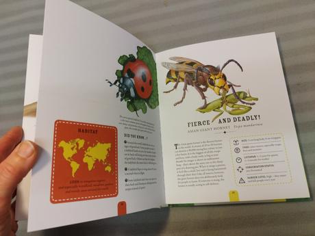 The incredible world of bugs hb nau23, 