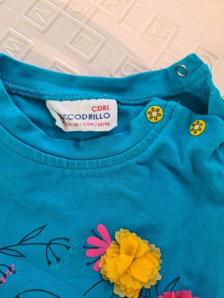 Suprava, coccodrillo,68