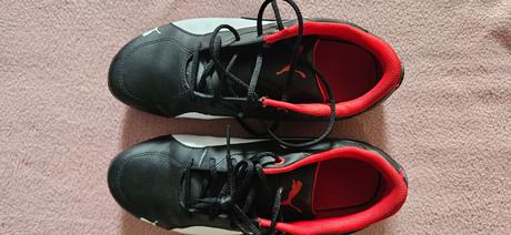 Halovky puma, puma,35