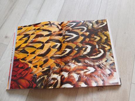 Maso a zvěřina -autori christian teubner kniha,, 