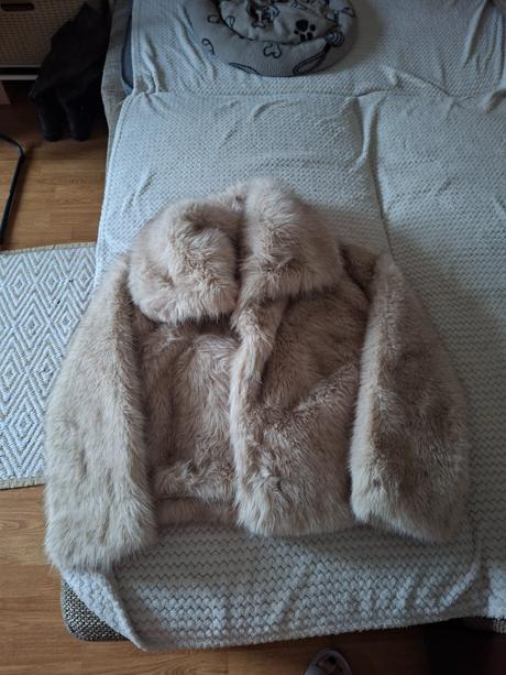 Kozuch, stradivarius,m