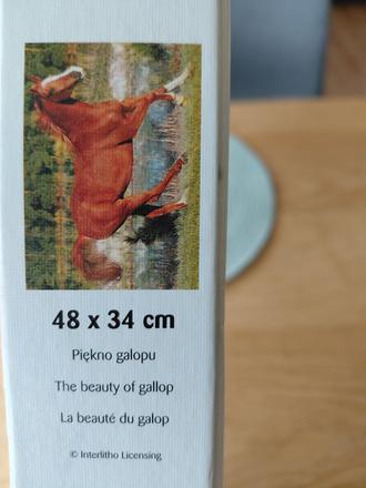 Predam puzzle kôň,