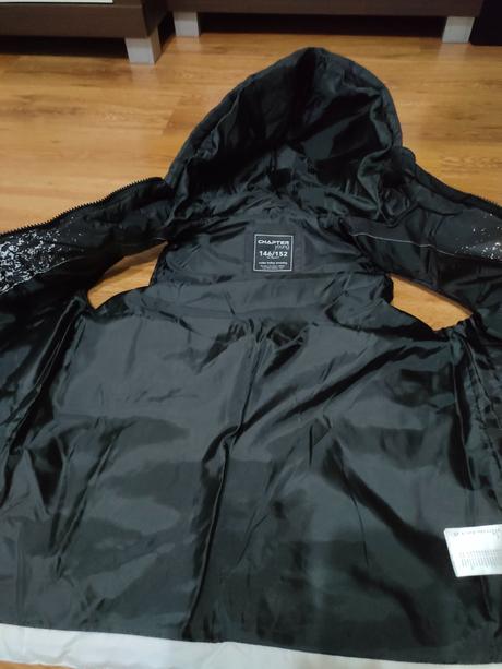 Vesta, chapter young,146