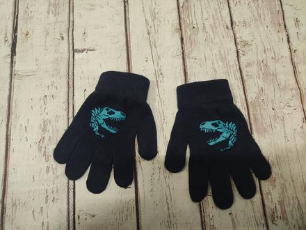 Rukavičky s dinosaurom, 104