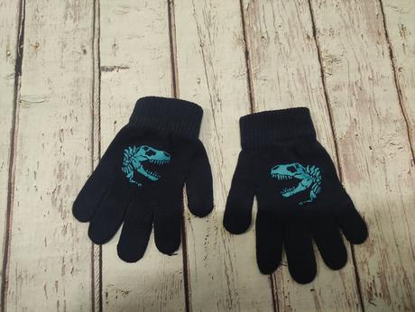 Rukavičky s dinosaurom, 104