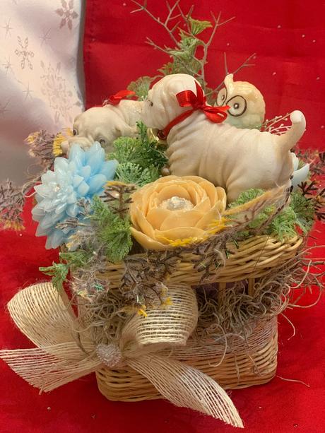 Detska mydlova kytica, 